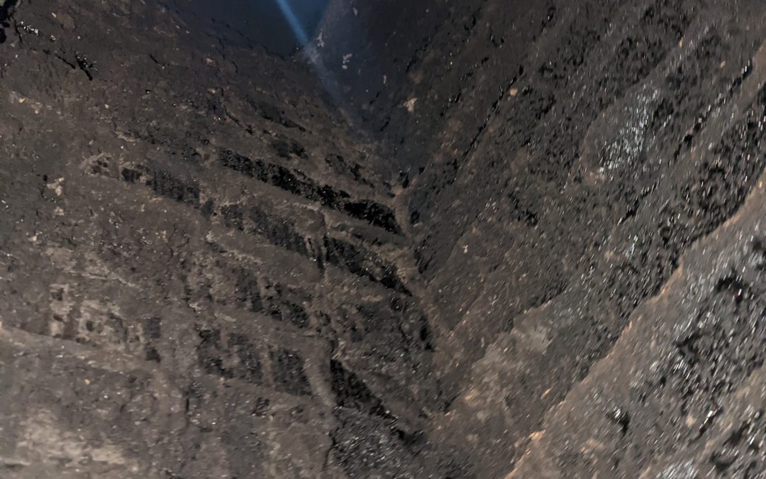 Chimney Sweep Professionals